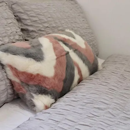 Lovely Staycation With Family Free Parking & Wifi 利兹